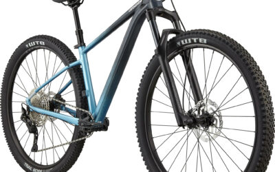 Cannondale – 29 F Trail SL 3